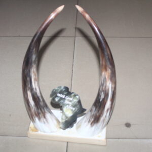 4.africa horn