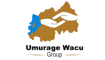 transparent logo